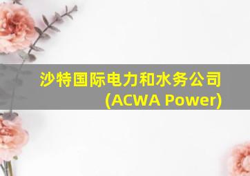 沙特国际电力和水务公司(ACWA Power)